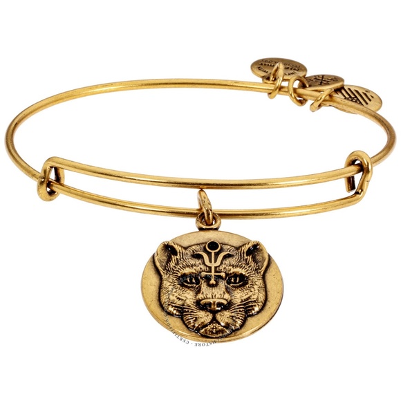 Alex and Ani Wild Hearts 2 - Picture 4 of 4